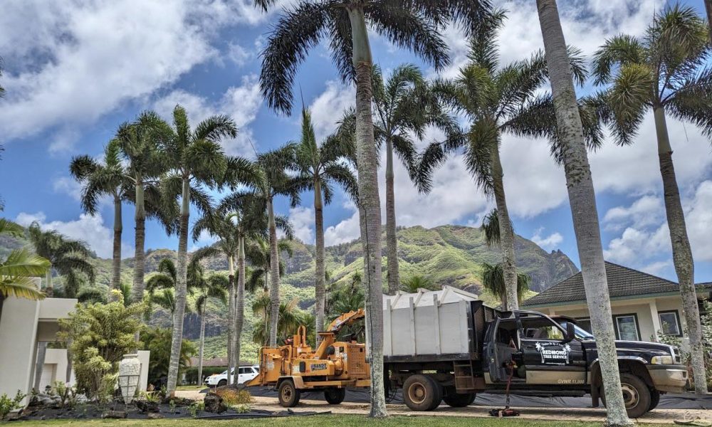 Redmond Tree Service LLC